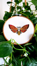 Load image into Gallery viewer, Death's-Head Hawkmoth
